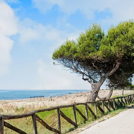 Lägenhet Flat In A With Private Garden *